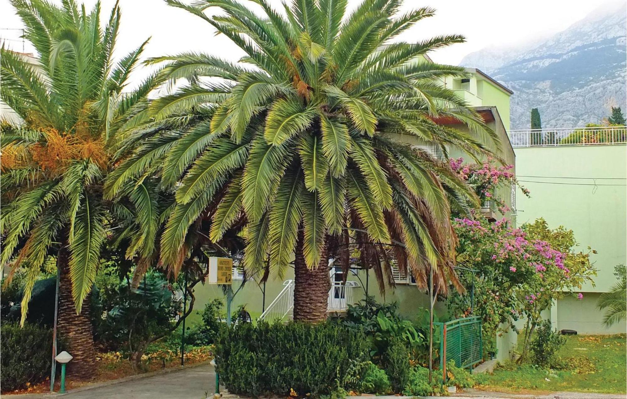 Lovely Apartment In Makarska With Wifi Eksteriør billede